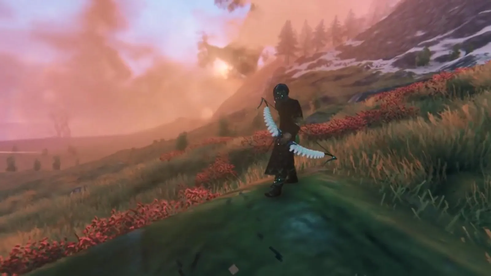 隐私保护与数据安全